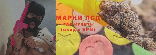 крисы Абаза