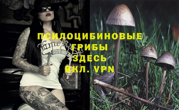 дмт Абинск