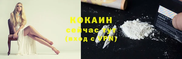 крисы Абаза