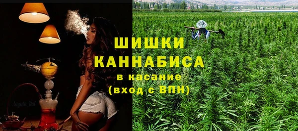 спиды Новодвинск