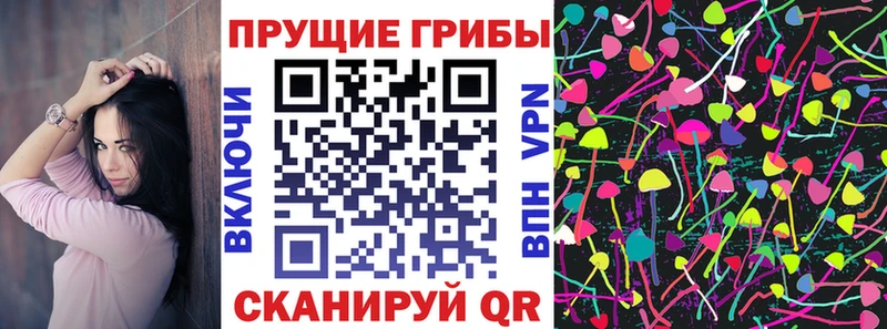 закладки  Кизляр  Псилоцибиновые грибы мухоморы 