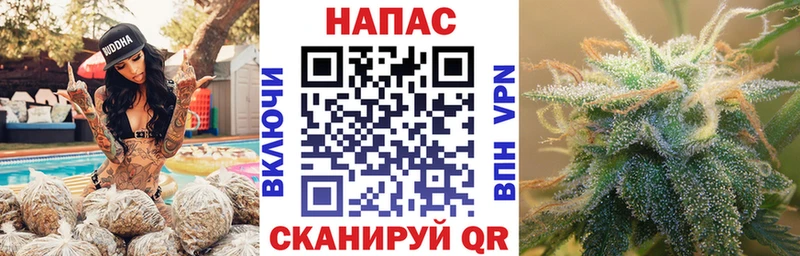 дарнет шоп Кизляр Марихуана план